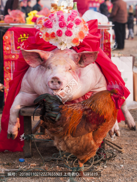青島即墨周戈莊祭海