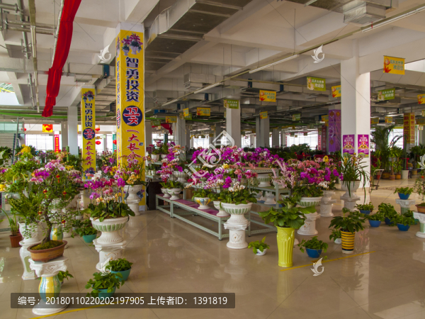 花卉市場(chǎng)