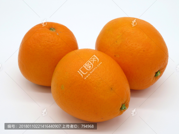 臍橙
