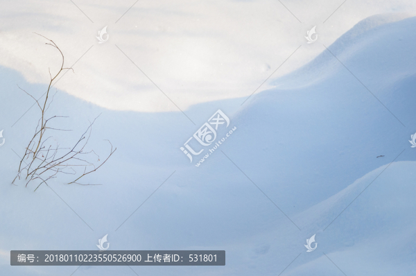 雪地里的小草