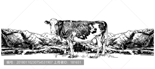 手繪配圖
