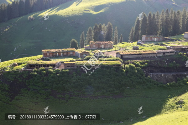 山坡民居