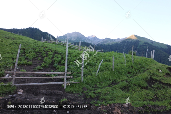 山坡木柵欄