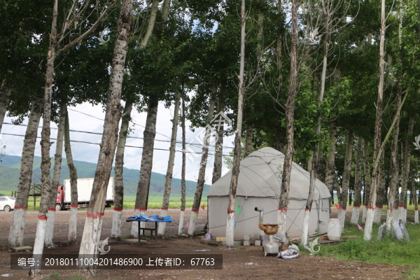 樹林,氈房