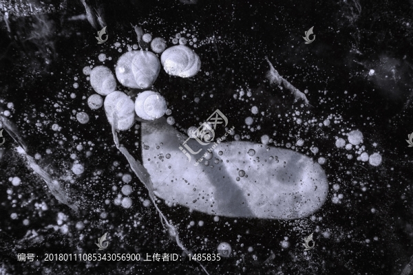 趣味冰泡
