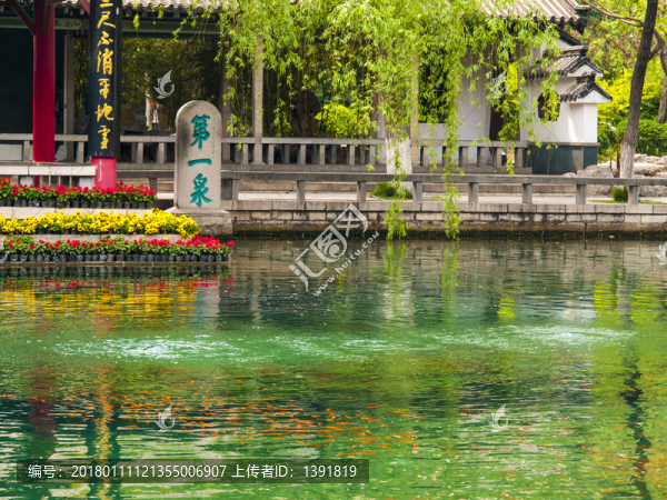 春季的濟(jì)南趵突泉