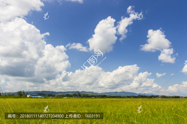 草原和天空