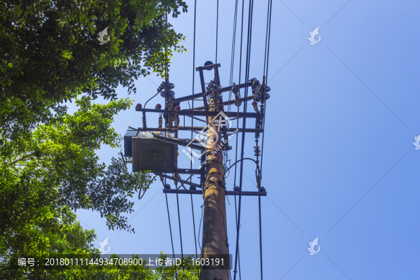電線桿