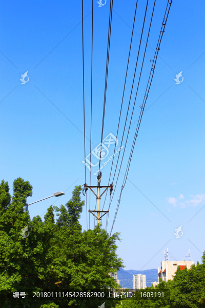 電線桿