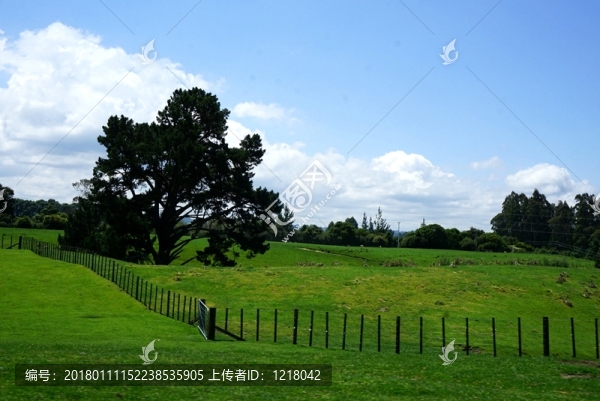牧場