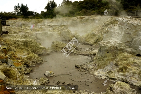 羅托魯瓦火山地?zé)峁珗@