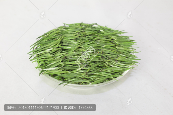 雀舌