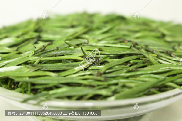 雀舌