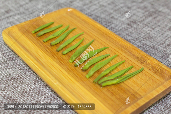 雀舌