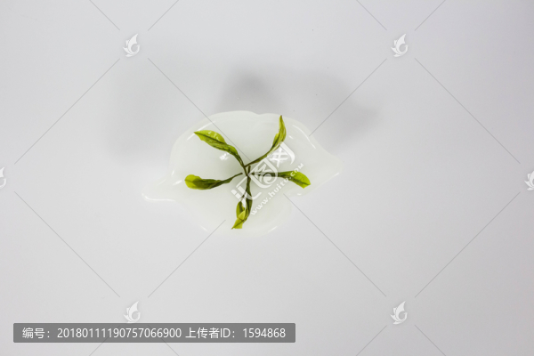 特級安吉白茶