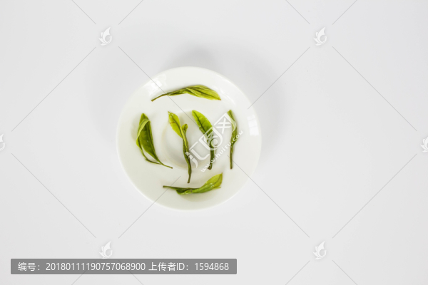 特級安吉白茶