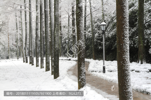 雪景
