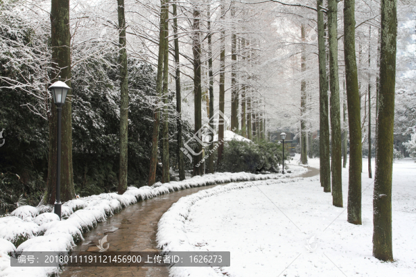 雪景