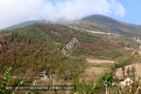 三峽風(fēng)景