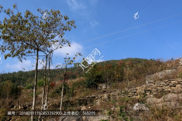三峽風(fēng)景