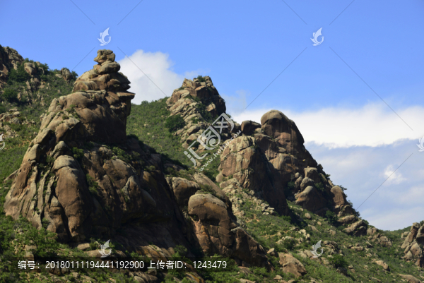 山巖將軍