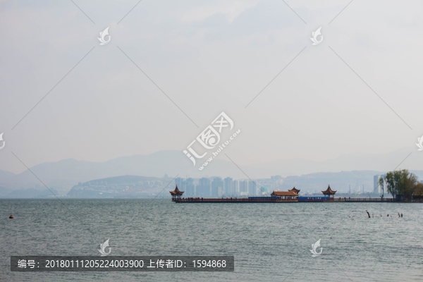 飛翔中的白色海鷗