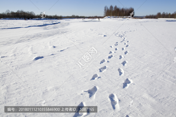冰河雪地