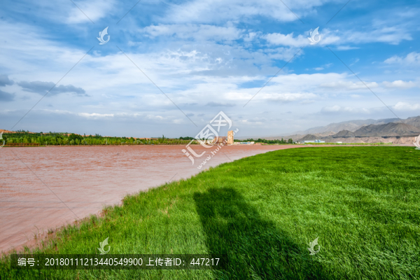 黃河濕地