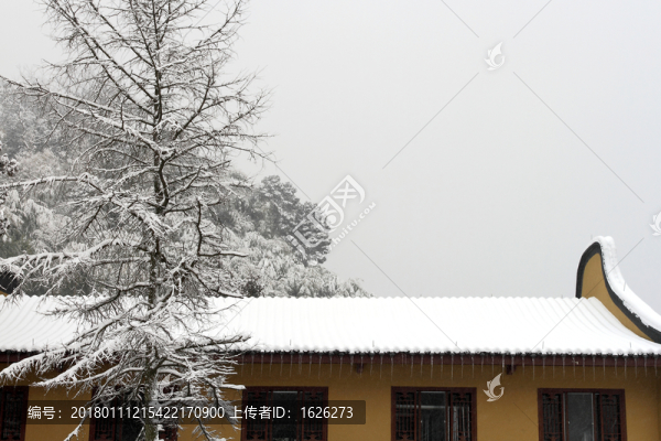 雪景