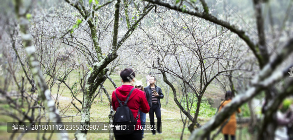 梅花香自苦寒來(lái)