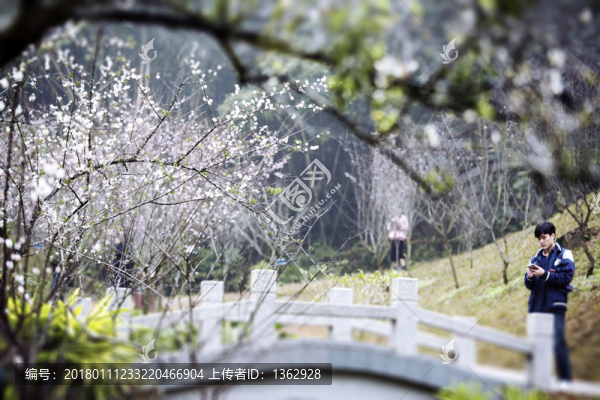 梅花香自苦寒來