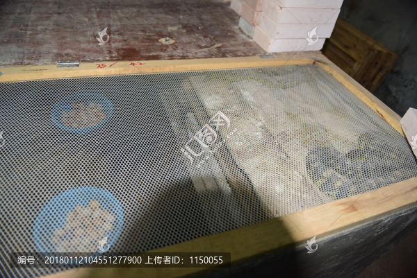菜花蛇特色養(yǎng)殖