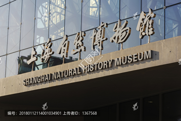 上海自然博物館