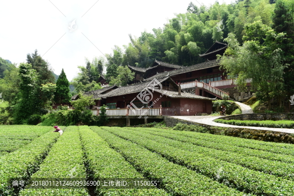土家族吊腳樓群