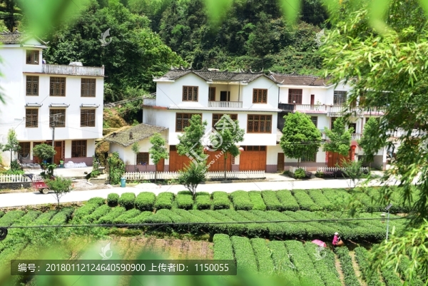 鄉(xiāng)村特色民居