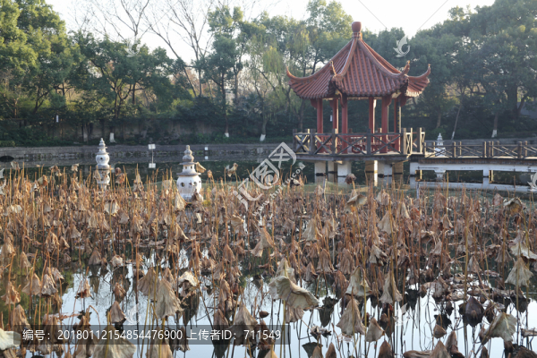 三潭映月景觀