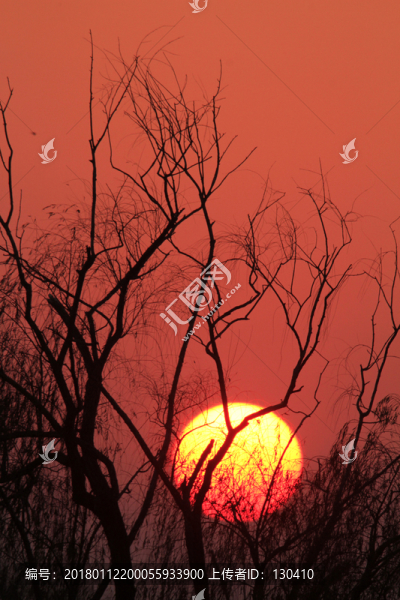 夕陽(yáng)