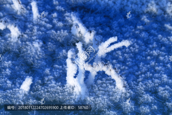 草葉霜花