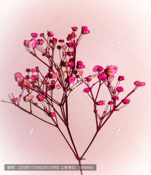 小碎花背景裝飾圖