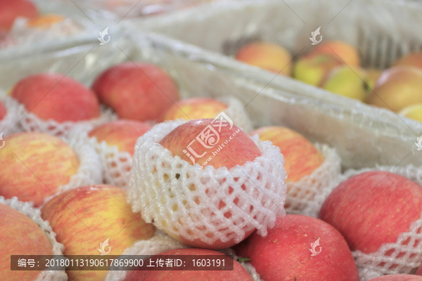 蘋果