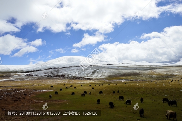 青藏線之唐古拉雪山