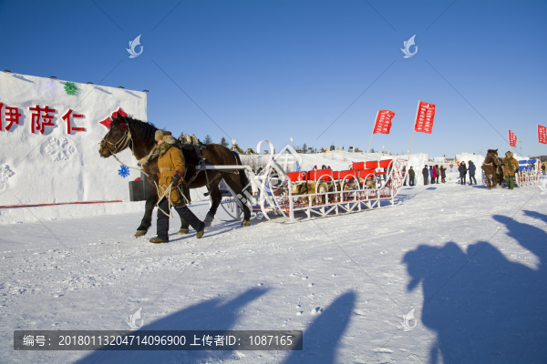 伊薩人節(jié),,馬拉雪橇