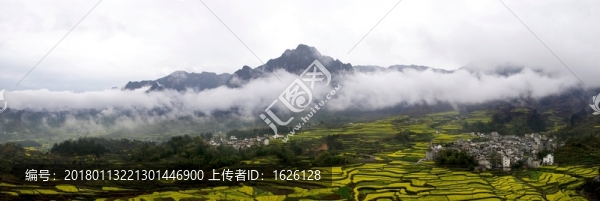 家朋油菜花及云海