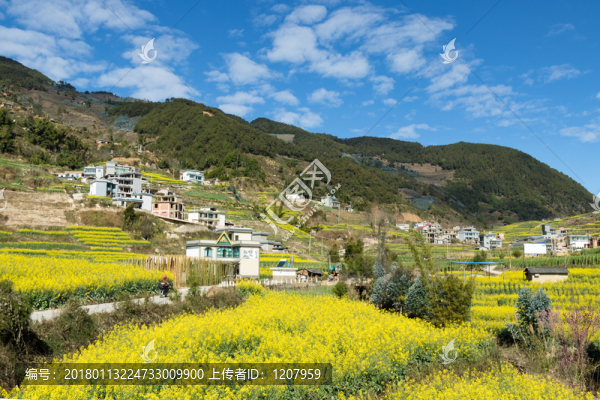 美麗鄉(xiāng)村