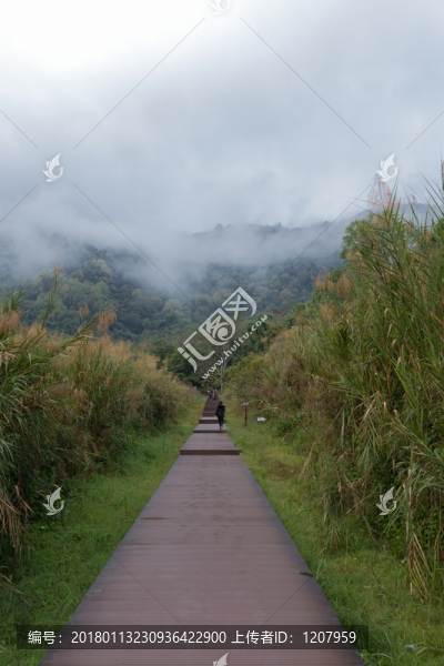小路