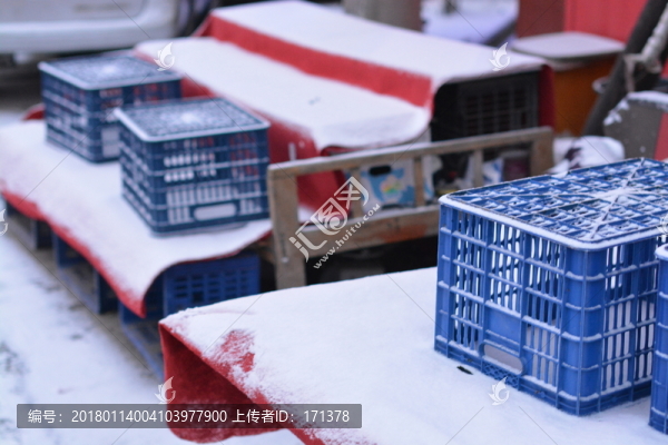 初雪,雪,冷,自然,風(fēng)景,戶外