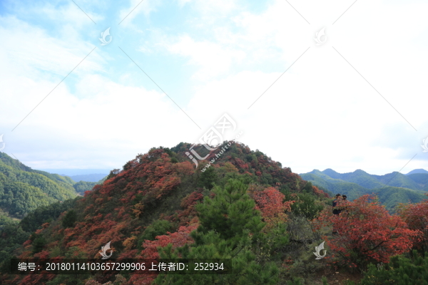 紅葉