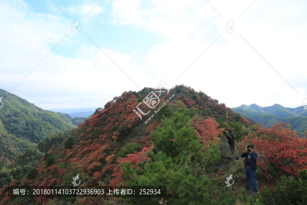 紅葉