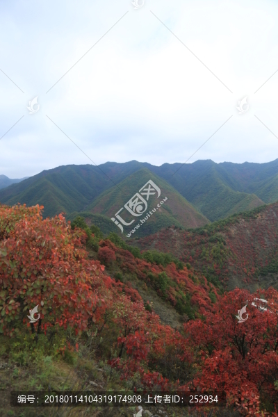 風景