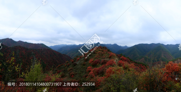 紅葉